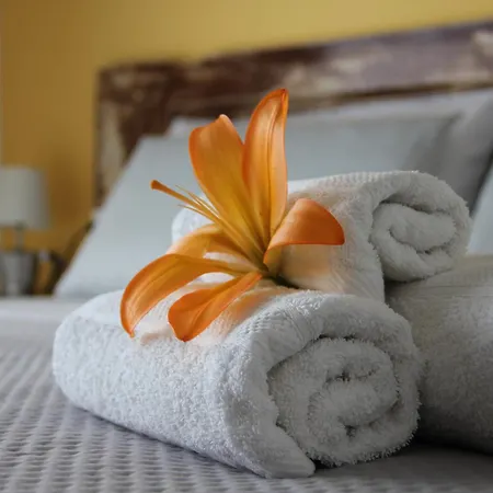 Le Guarattelle House Teresina 3* 나폴리
